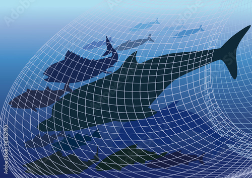 Harmful fishing  Network
