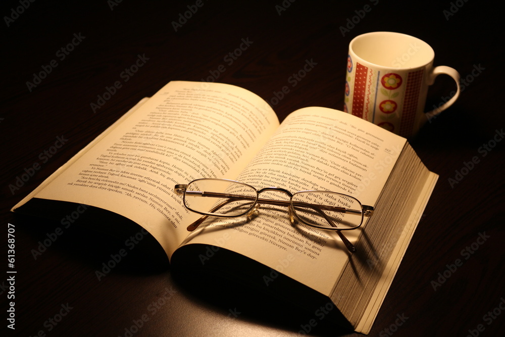 Fototapeta premium book