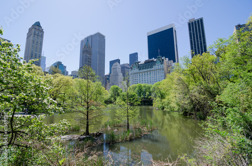 Fotografia, Obraz Central Park, New York