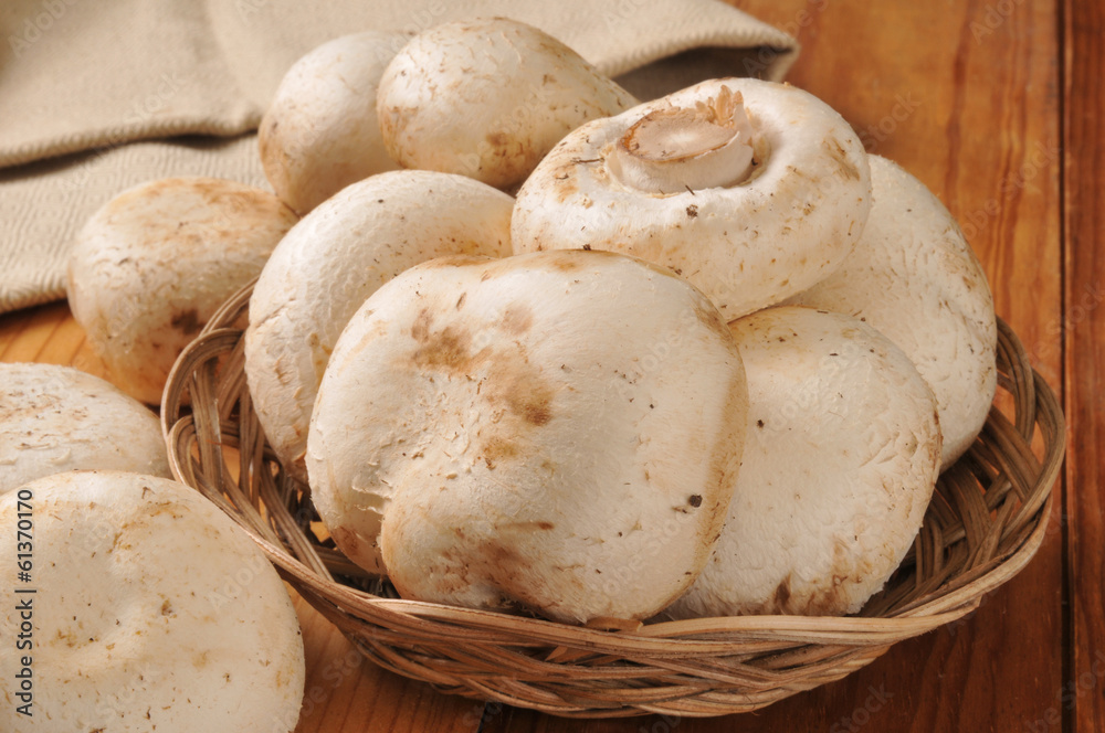 Mushrooms in a basket Mushrooms in a basket