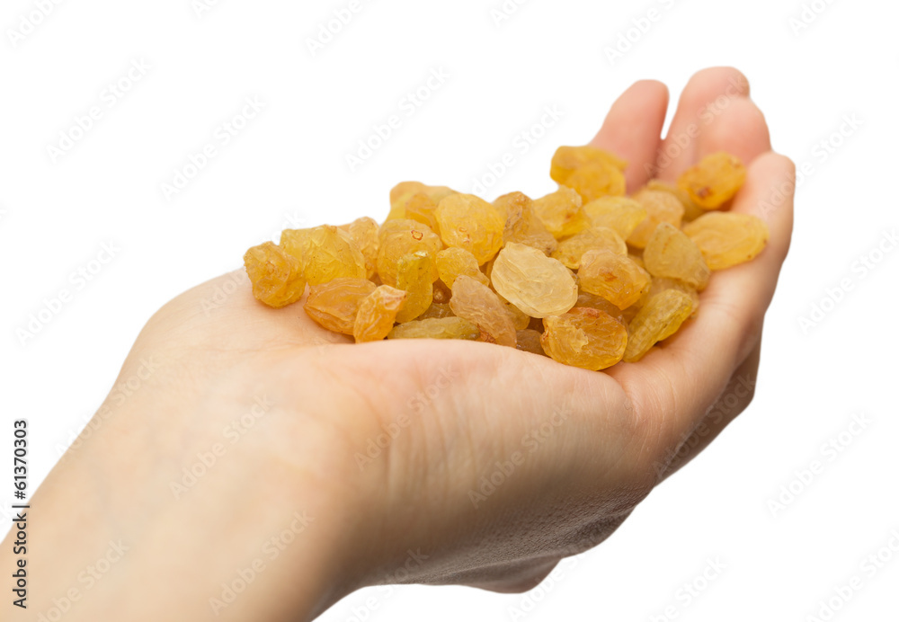 golden raisins in hand on white background golden raisins in hand on white background