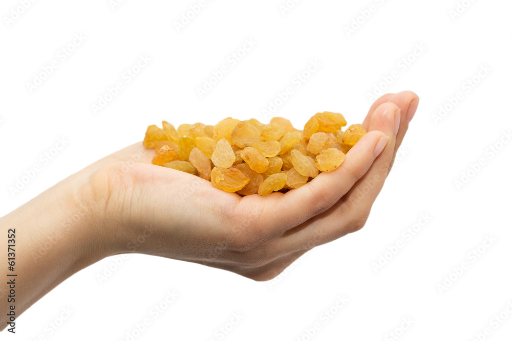 golden raisins in hand on white background golden raisins in hand on white background