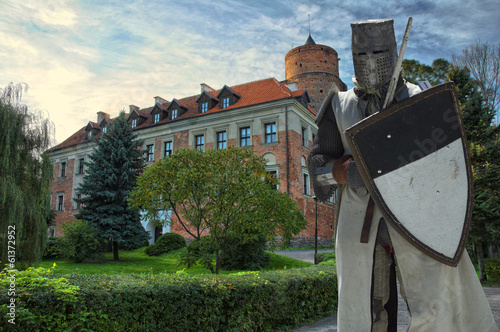Medieval knight