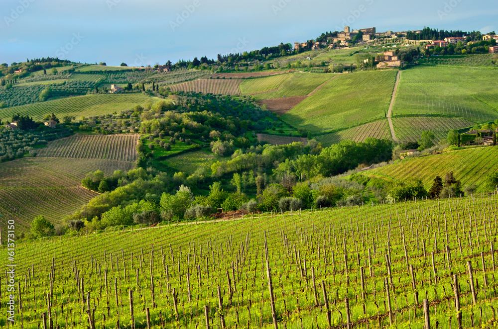 Beautiful Chianti landscape, Tuscany, Italy