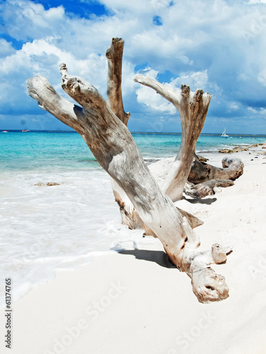 tropical beach in Dominican republic. Caribbean sea. Island Kata