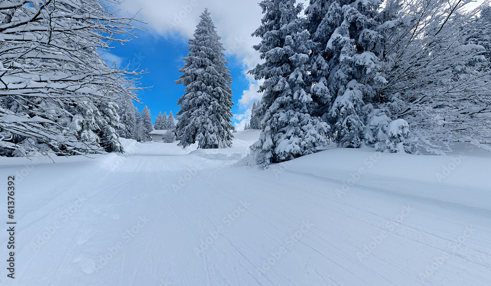 snowy winter landscape in black forest germany snowy winter landscape in black forest germany