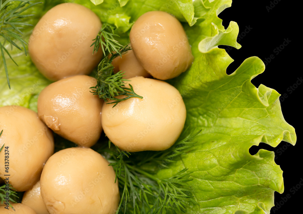 champignon mushrooms in lettuce leaves on a black background champignon mushrooms in lettuce leaves on a black background