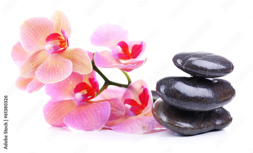 Composition with beautiful blooming orchid with water drops and Composition with beautiful blooming orchid with water drops and