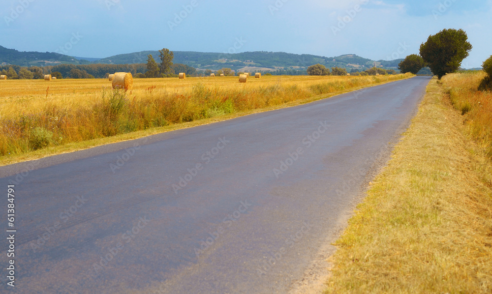 Naklejka premium Road in summer