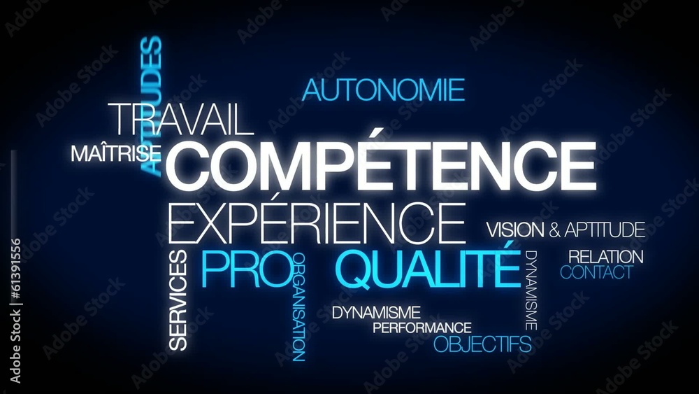 Compétence expérience professionnelle emploi nuage de mots video