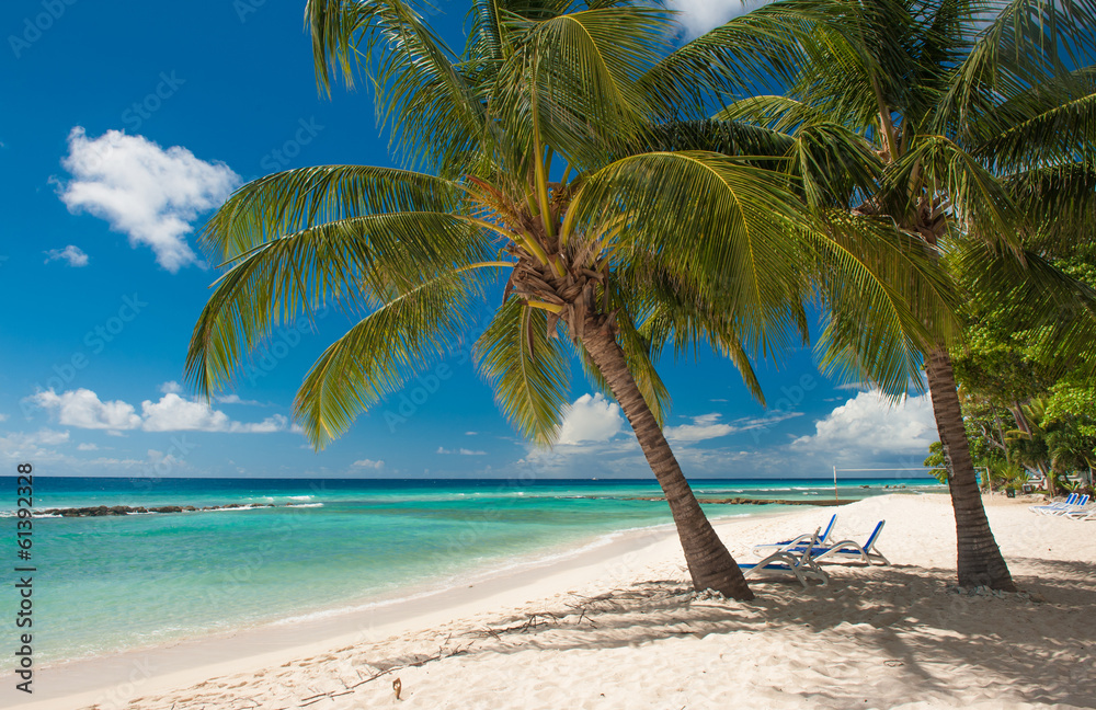 Obraz premium Barbados