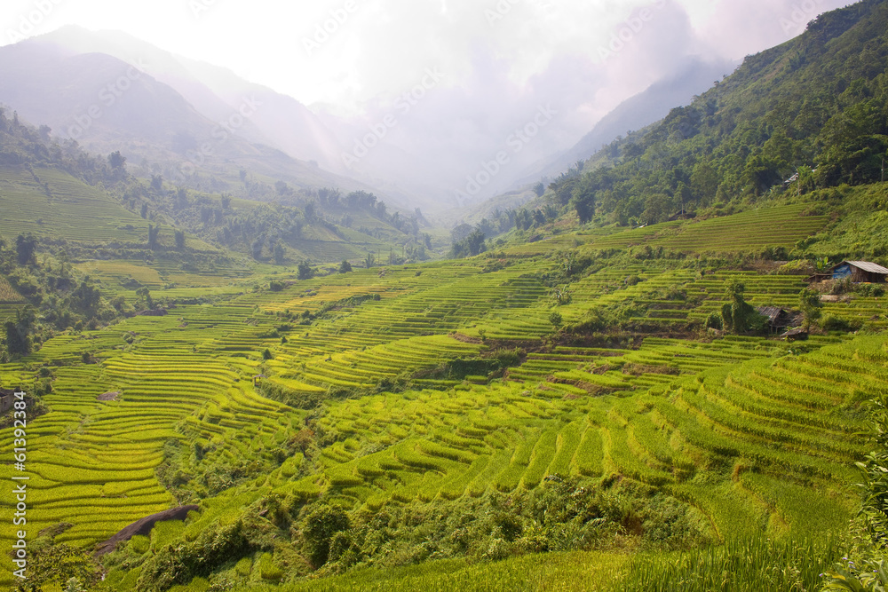 Paddy fields near Sapa, Vietnam Paddy fields near Sapa, Vietnam