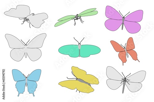 cartoon image of buttefly animals © bescec