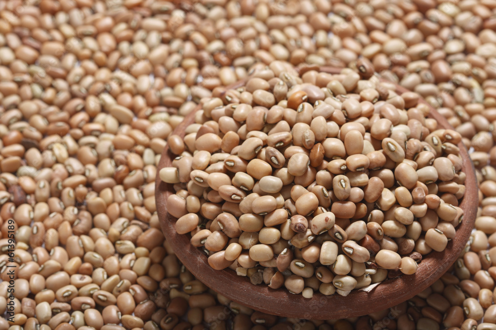 Obraz premium Soyabean – a legume often used like vegetable