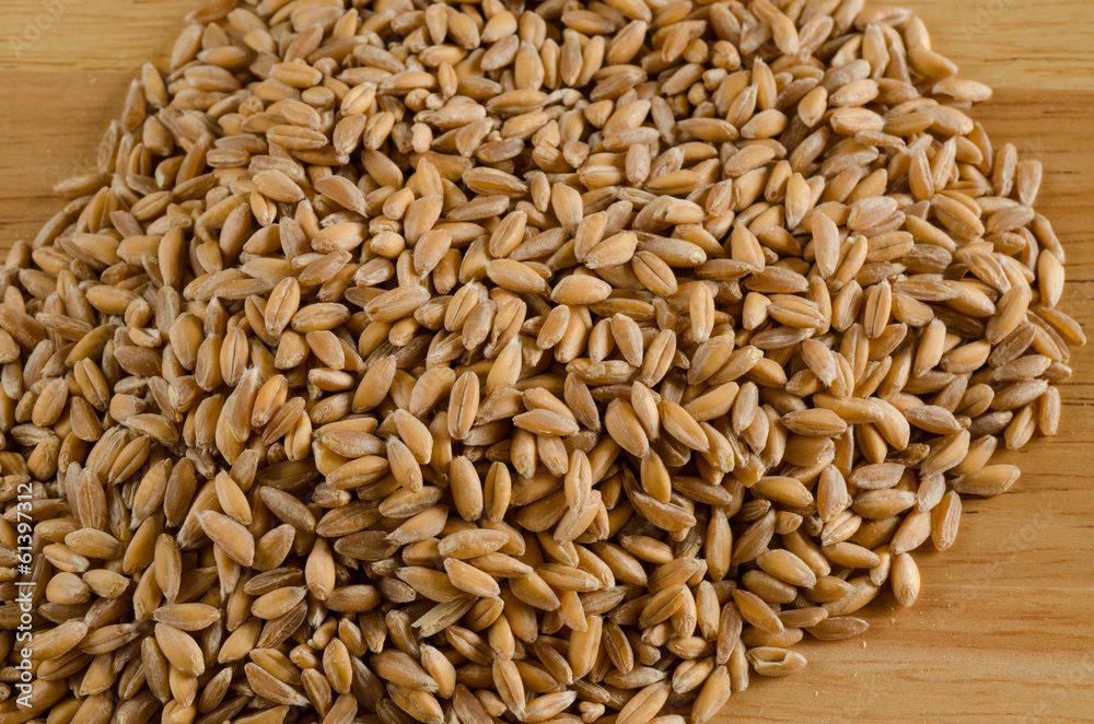 spelt spelt