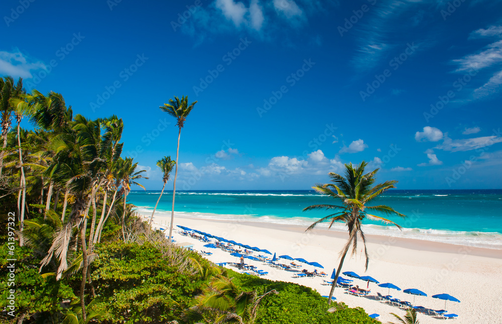Fototapeta premium Crane Beach