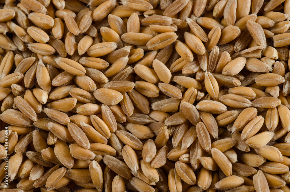 spelt, close up, texture