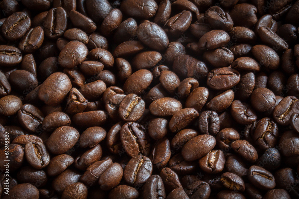 Coffee Seeds Coffee Seeds