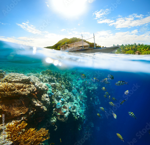 Beautiful underwater world on a sunny day at Apo Island. Philipp