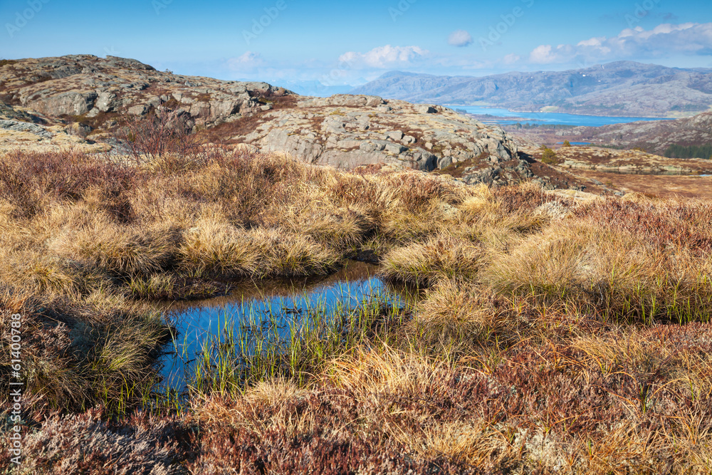 Norwegian mountain landscape with small pond and dry grass