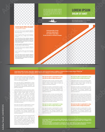 Vector empty trifold brochure template design