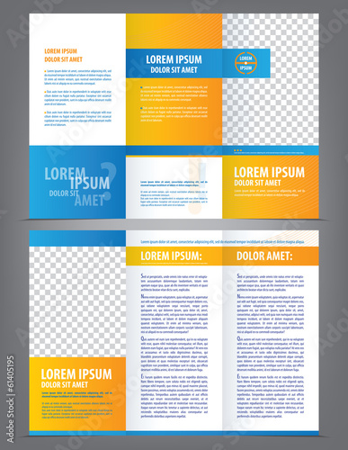 Vector empty trifold brochure template design