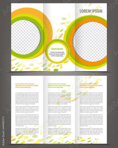 Vector empty trifold brochure template design