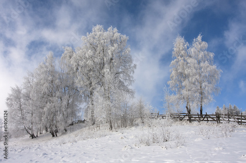 Winter colours