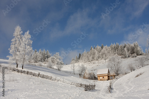 Winter landscape