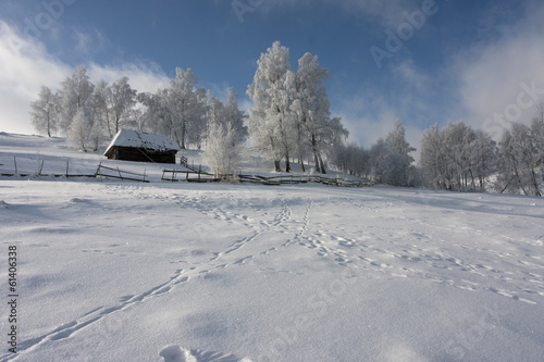 Winter landscape