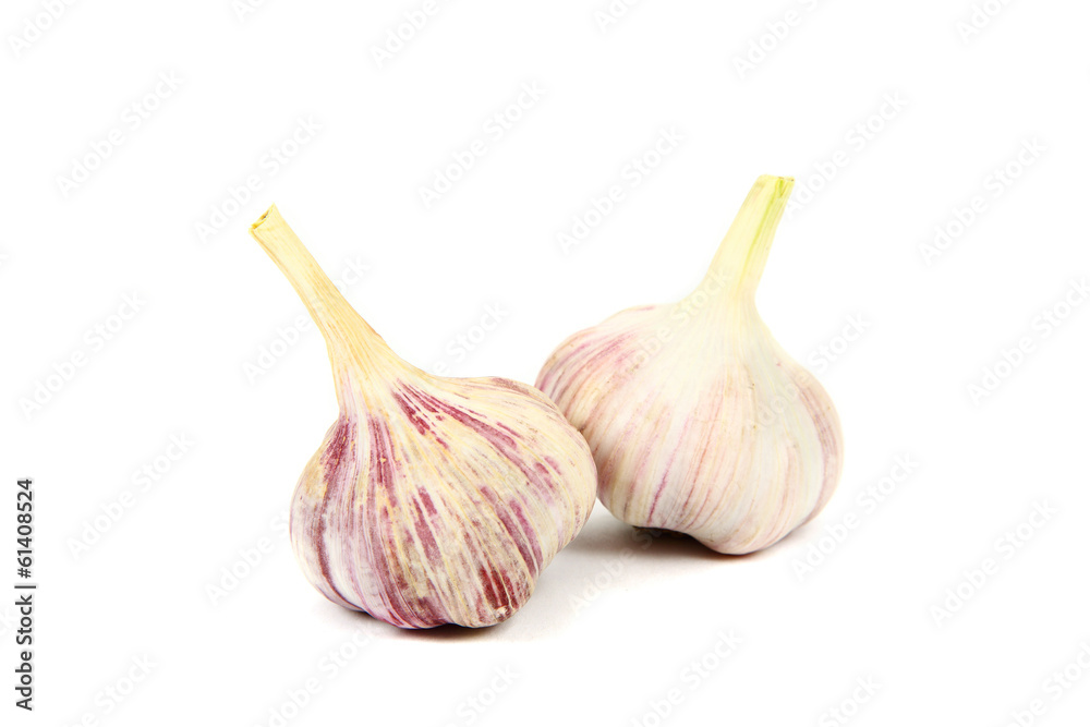 Fototapeta premium Garlic isolated on white background.