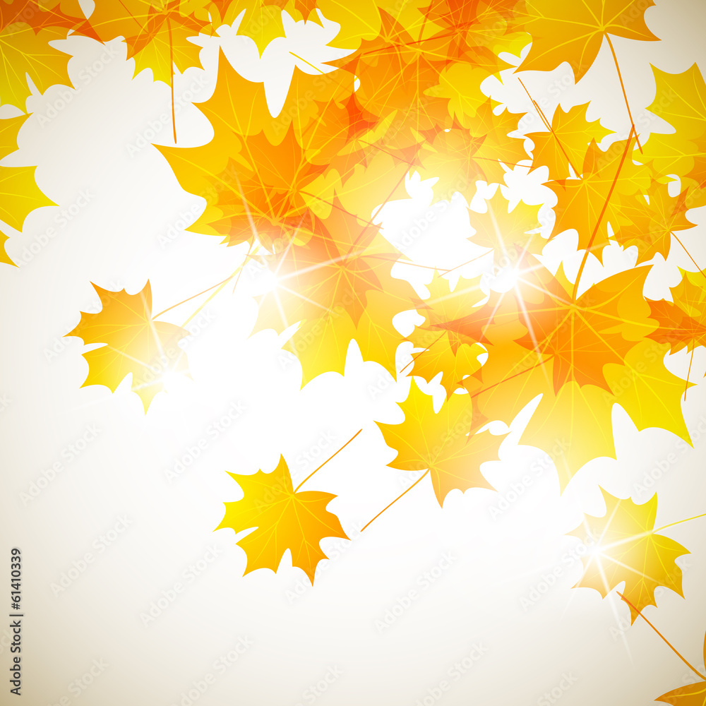 autumn background autumn background