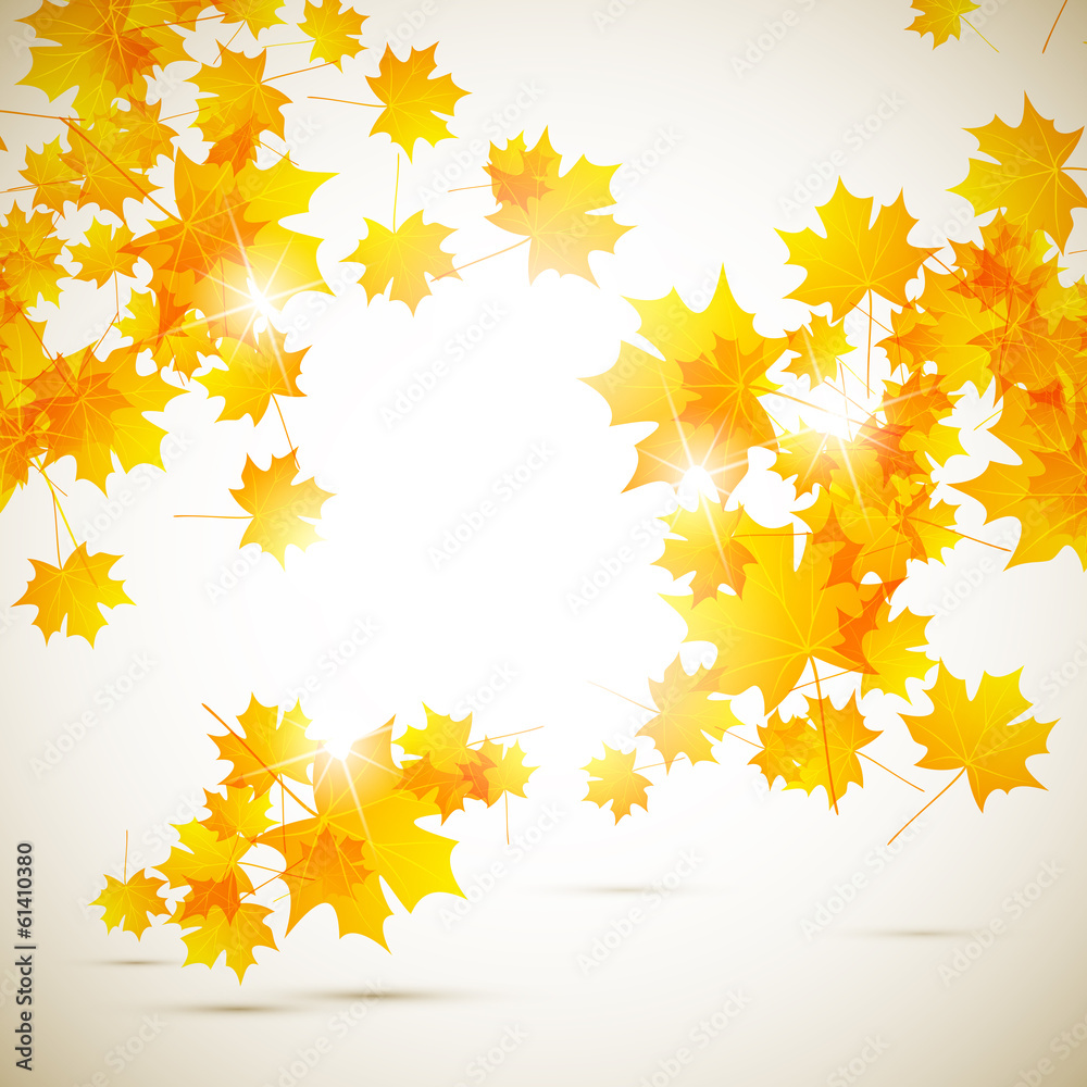 autumn background autumn background