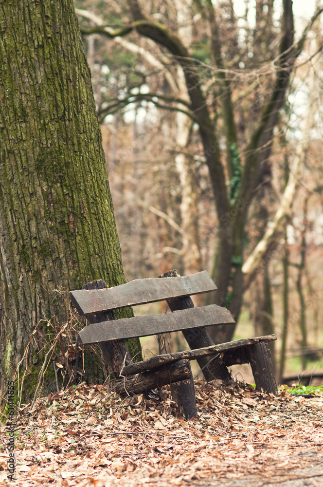 Bench in the park during winter season Bench in the park during winter season