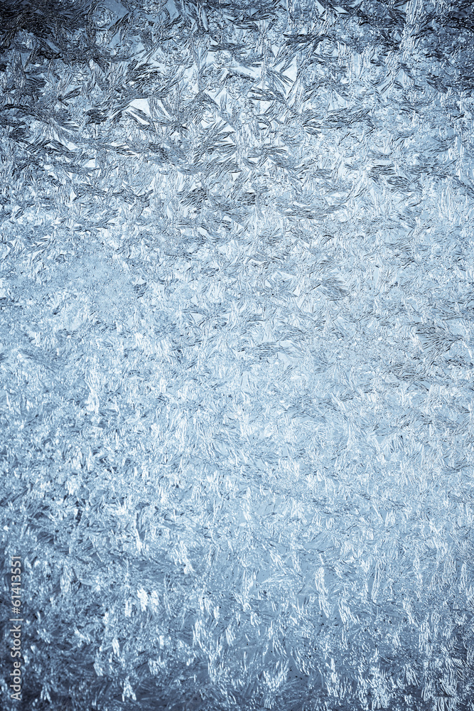 Obraz premium Icy flowers