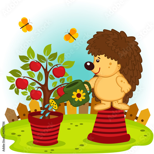 hedgehog watering a tree with apples -  vector  illustration