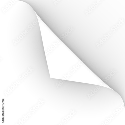 Wallpaper Mural pagina foglio Torontodigital.ca