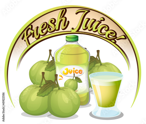 Fresh juice label with guavas