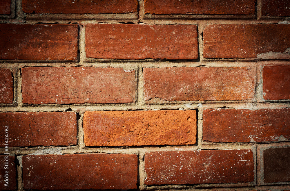 Fototapeta premium brick wall texture