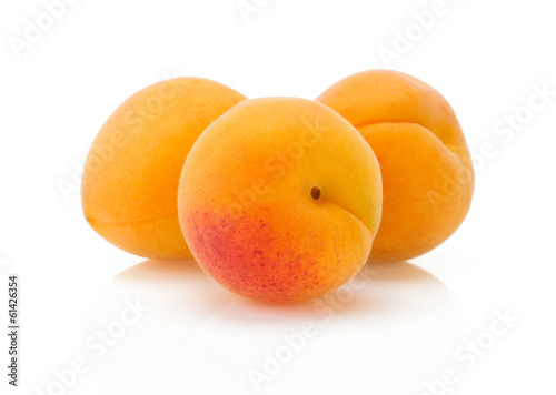 apricot on white background