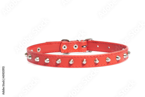 Fototapeta Naklejka Na Ścianę i Meble -  red collar with rivets isolated over white background