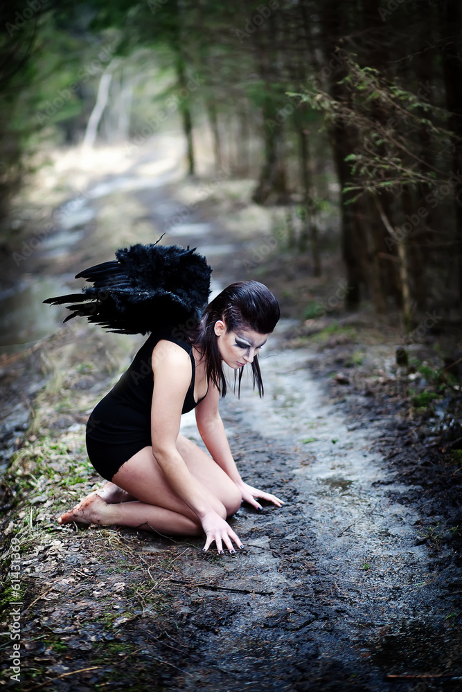 Fototapeta premium Fallen angel