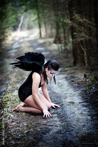 Fallen angel