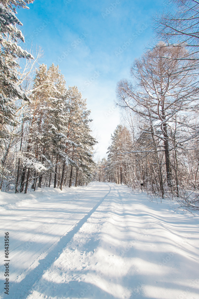 Fototapeta premium Snow-covered rural road in the forest