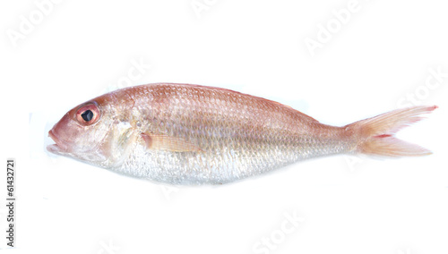 Edible sea fish isolated on white