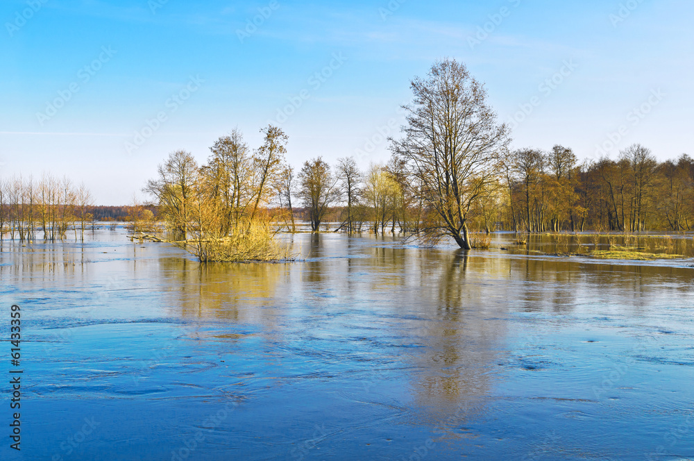 Fototapeta premium Spring evening. Flood of small river