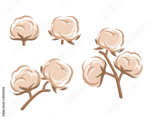Cotton set. Vector