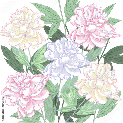 Background with pink and white peony.Vector illustration © Natalia Piacheva