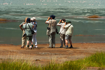Group of seniors on photo safari in Africa observing animals