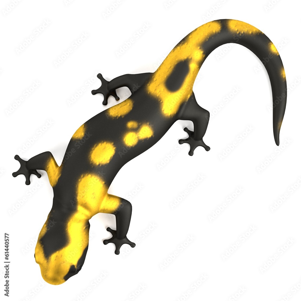realistic 3d render of salamander realistic 3d render of salamander